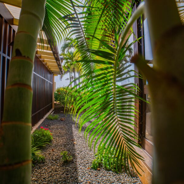 Inside Corrior Foliage