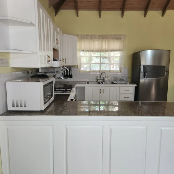 Kitchen-Counter-Bar.webp