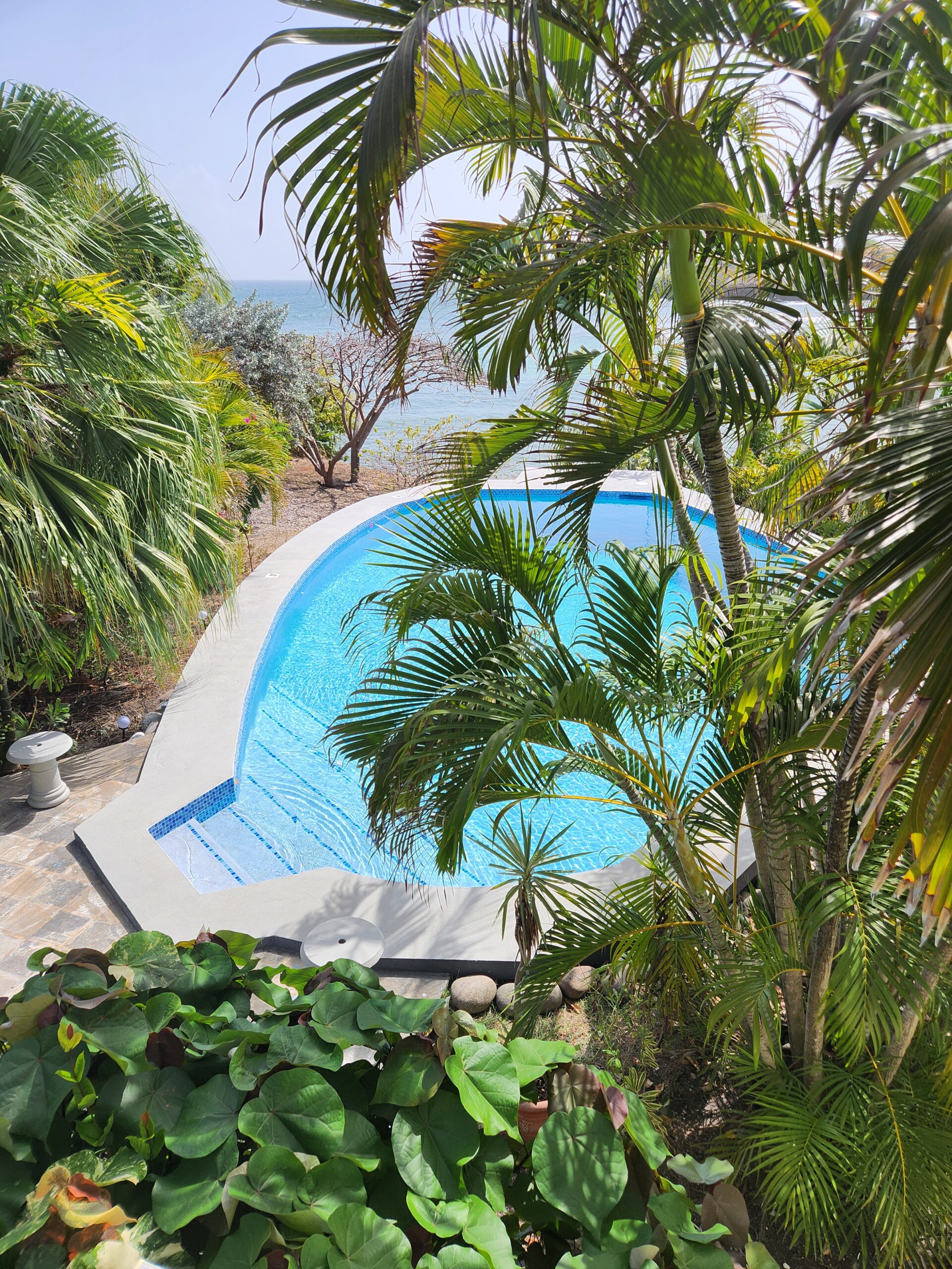 Pool 1 - Copy