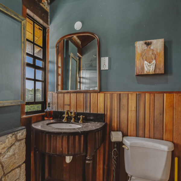 main house - bathroom 1 toilet