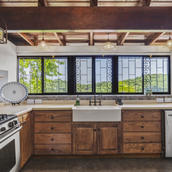 main house - kitchen side